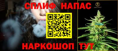 мяу мяу мука Кингисепп