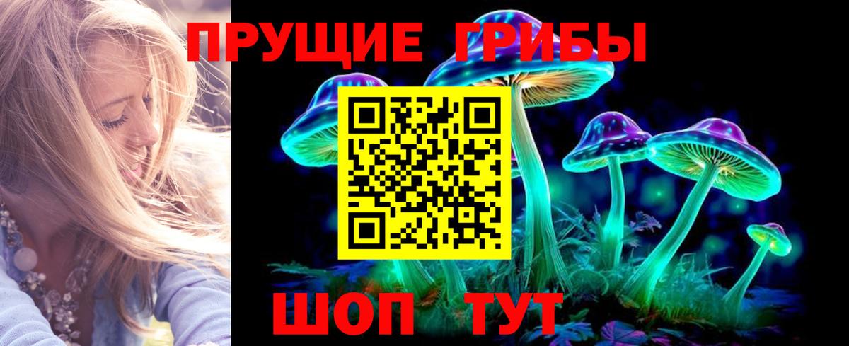 Псилоцибиновые грибы мухоморы  Псилоцибиновые грибы Cubensis  Вход с VPN  где купить наркотик  Верхняя Пышма 